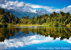 New Zealand, Maxx Honey, Landscape